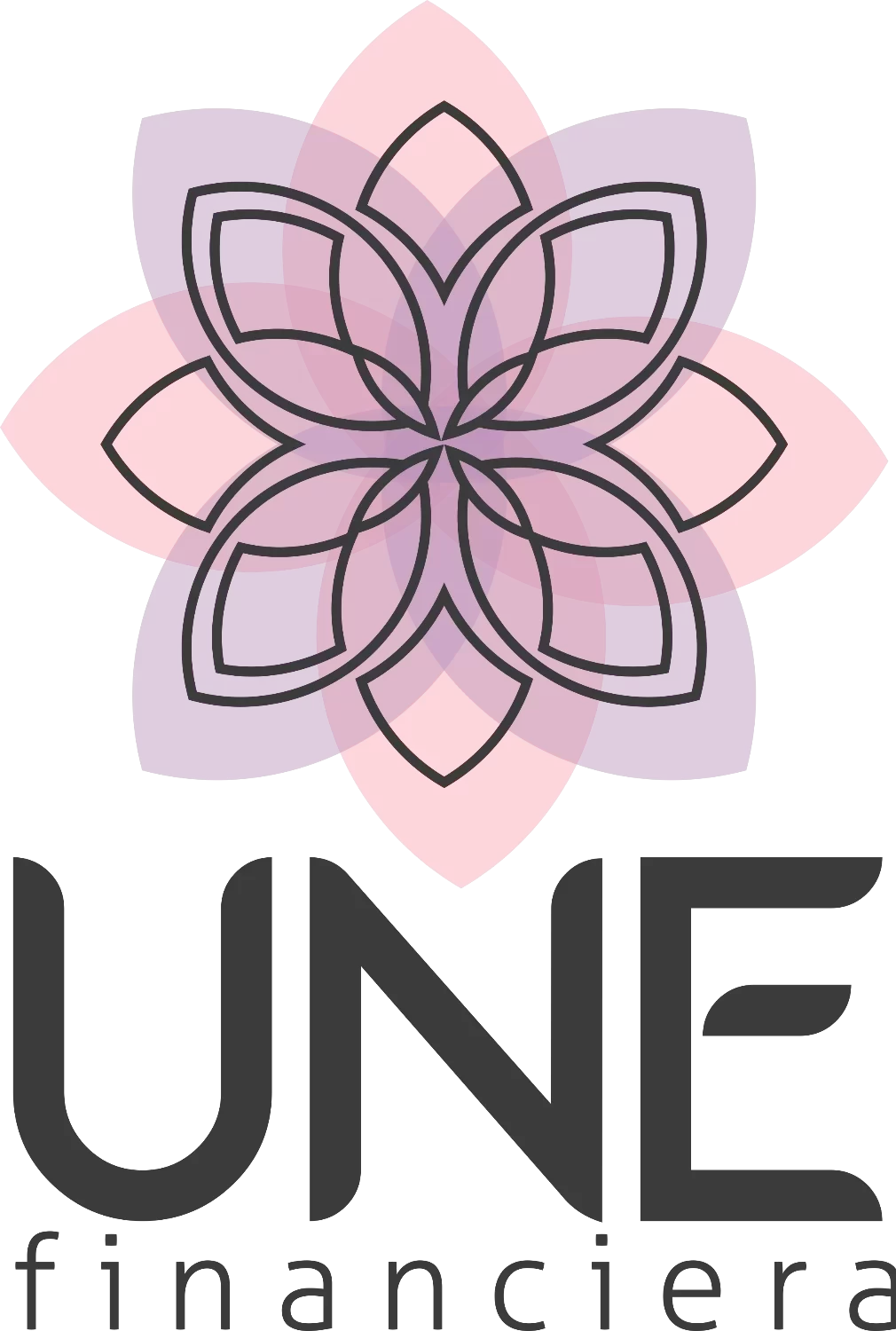 Une Financiera